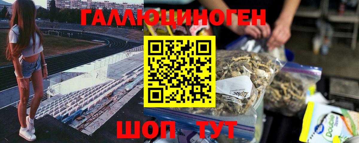 Киселёвск  Галлюциногенные грибы мицелий  Вход с VPN  Псилоцибиновые грибы GOLDEN TEACHER 